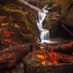 Cascata Morricana - Trekking Monti della Laga - con guida ambientale - Alla ricerca del viaggio Tour Operator