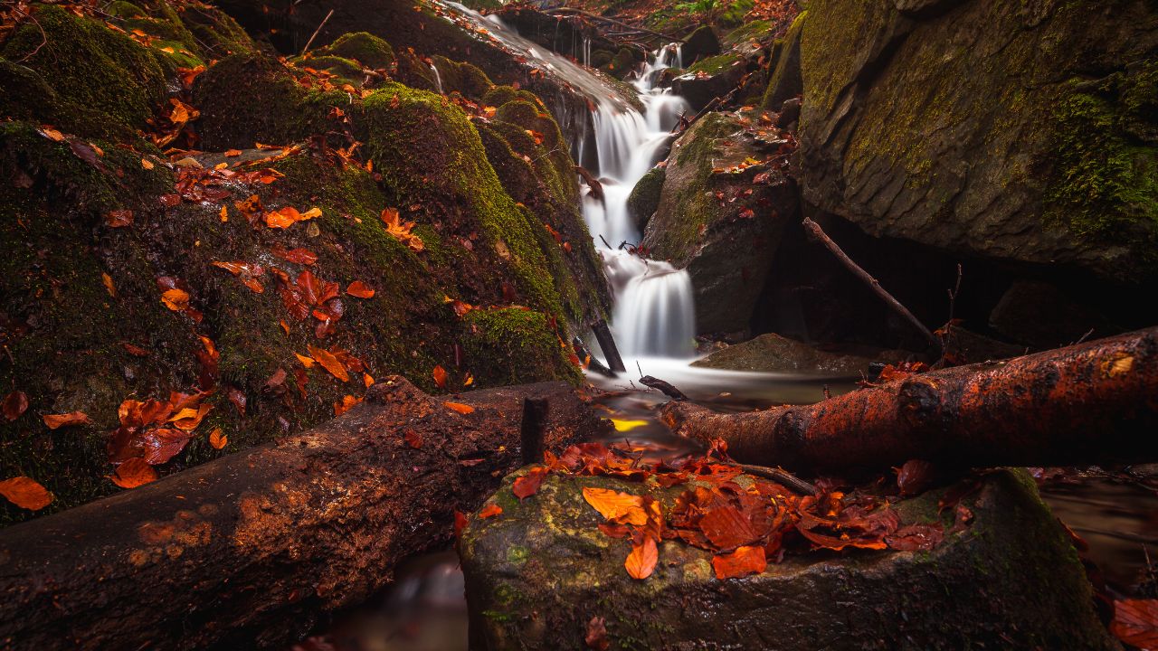 Cascata Morricana - Trekking Monti della Laga - con guida ambientale - Alla ricerca del viaggio Tour Operator