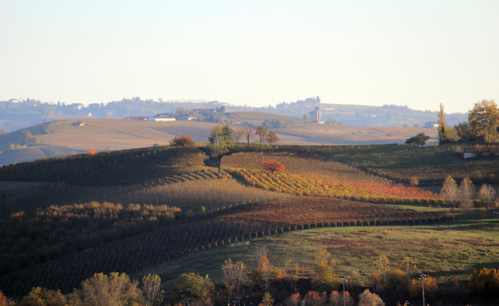 Trekking Langhe e Roero