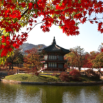 Viaggio in Corea del Sud in autunno - Viaggi di gruppo con Alla Ricerca del Viaggio Tour Operator