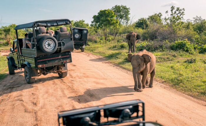 yala- viaggiodigruppo-viaggiorganizzati-viaggioinsrilanka-viaggio in sri lanka- con accompagnatore